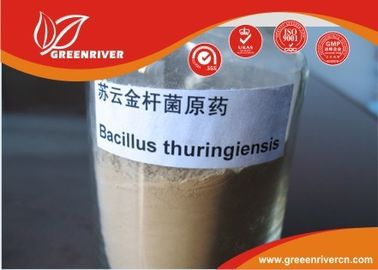 China Bacilo blanco insecticida del polvo del thuringiensis para el control lepidóptero de las larvas proveedor